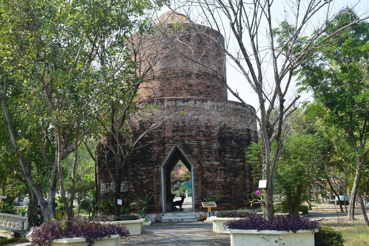 VIEW OF OLD RUIN