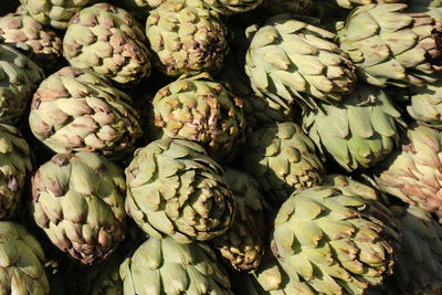 Large ripe green artichokes in the supermarket fruit and vegetable 