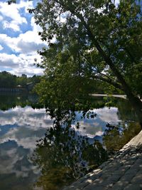 Scenic view of lake by trees against sky