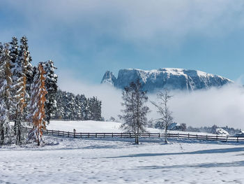 Scenic view in the dolomites with larks and sciliar, snow and mist