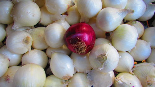 Full frame shot of onions