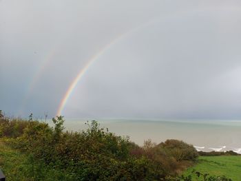 rainbow