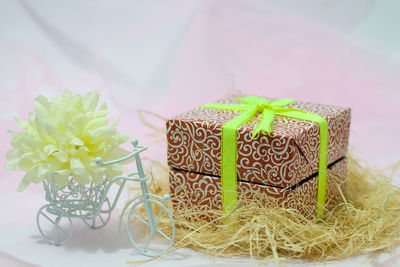 Close-up of cake on white table