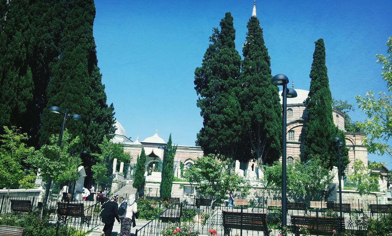 tree, architecture, building exterior, built structure, clear sky, blue, low angle view, sunlight, sky, day, outdoors, religion, place of worship, growth, incidental people, statue, street light, city, spirituality, human representation