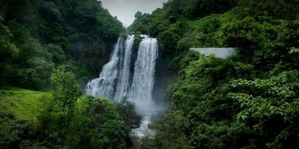 Scenic view of waterfall in forest