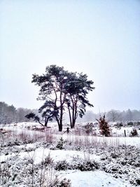 Snow covered landscape against clear sky