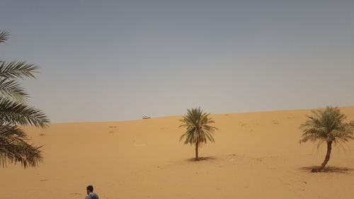 natural environment