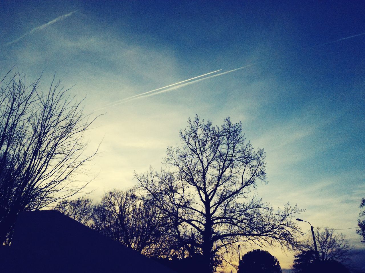 vapor trail, tree, sky, nature, no people, low angle view, outdoors, beauty in nature, silhouette, sunset, contrail, scenics, day