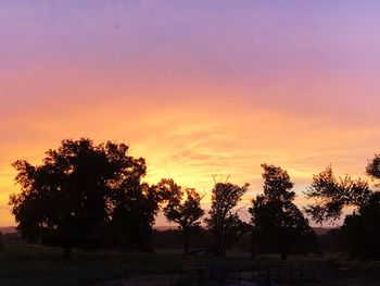 Silhouette trees on field against orange sky