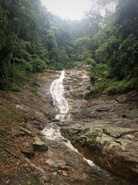 Scenic view of waterfall in forest against sky