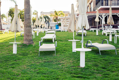 Empty chairs on field against trees