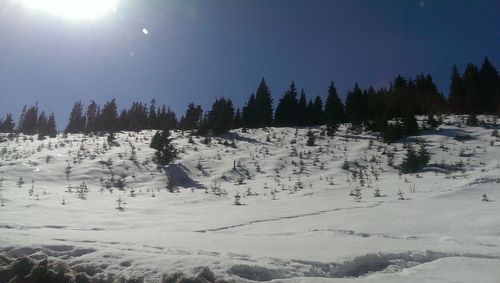 Scenic view of snow covered landscape