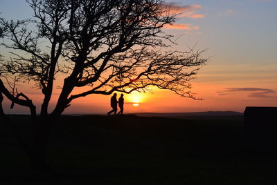 Silhouette person standing by bare tree against sky during sunset