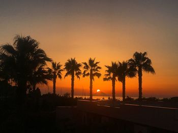 Silhouette palm trees against sky during sunset