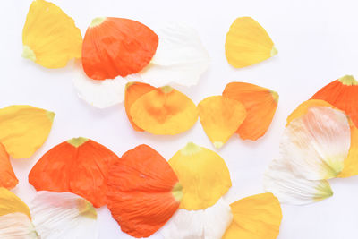 High angle view of chopped vegetables on white background