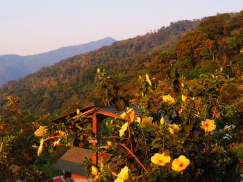 Scenic view of mountains against sky during autumn