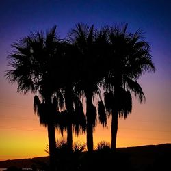 Silhouette palm trees against romantic sky at sunset