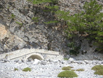 View of stone wall