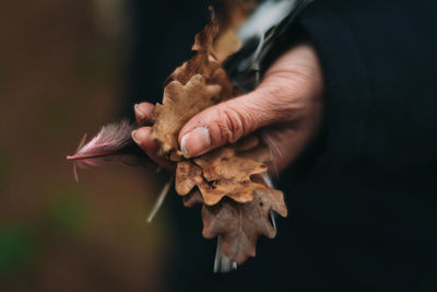 Close-up of cropped hand holding autumn leaves