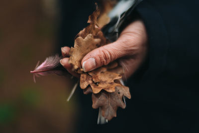 Close-up of hand holding autumn leaves