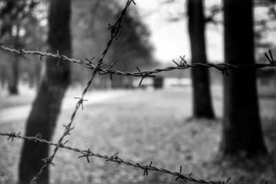 Close-up of chainlink fence