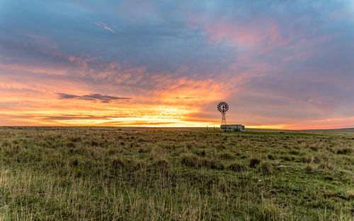 Scenic view of field against sky during sunset
