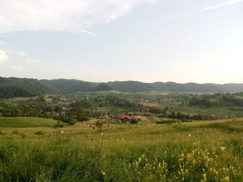 Scenic view of field against sky