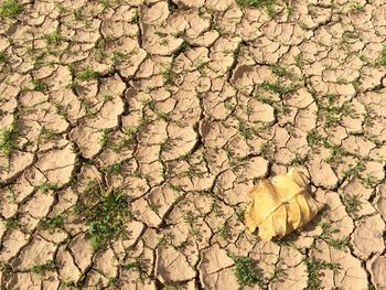 Full frame shot of cracked land