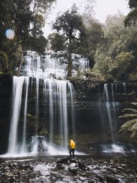 Person standing against waterfall at forest