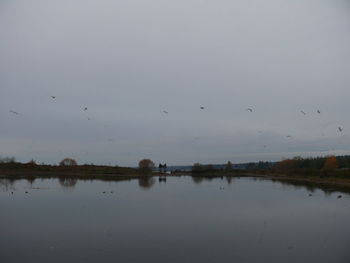 Birds flying over lake against sky during sunset