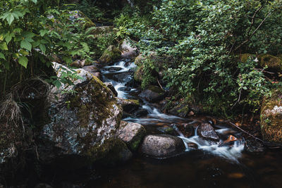 Stream flowing through rocks in forest