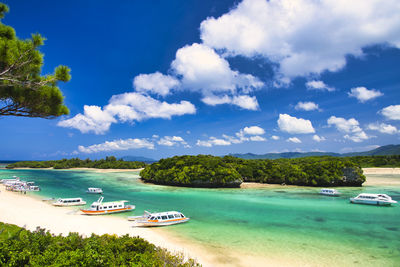 Beautiful coral reaf sea of kabira bay