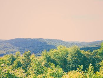 Scenic view of landscape with mountains in background
