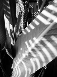 High angle view of people working