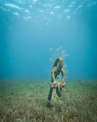 Person swimming in sea