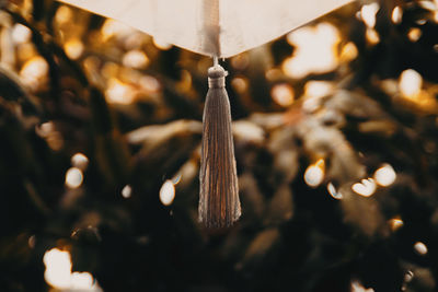 Close-up of christmas decoration
