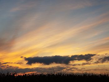 Silhouette trees on field against orange sky