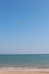sea
