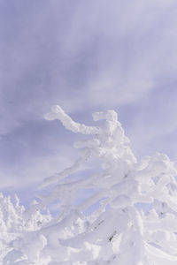 Snow covered land against sky