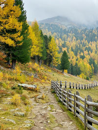 Scenic view of field against sky during autumn