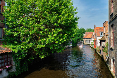 Canal amidst trees and buildings against sky