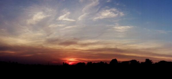 Silhouette trees against sky during sunset