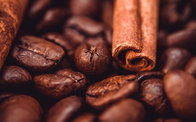 Detail shot of coffee beans and cinnamon 