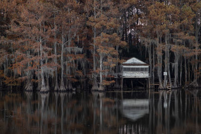 Scenic view of lake in forest