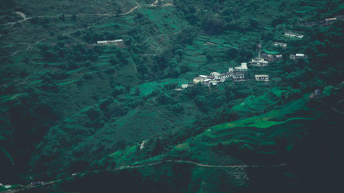 High angle view of terraced field