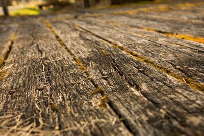 Close-up of wood