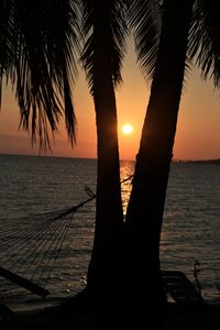 Silhouette palm trees on beach against sky during sunset