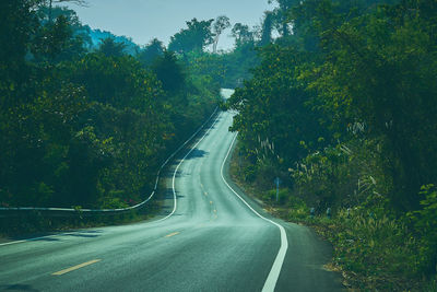 Road amidst trees in forest