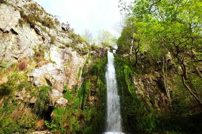 Scenic view of waterfall in forest against sky