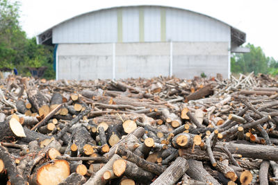 wood